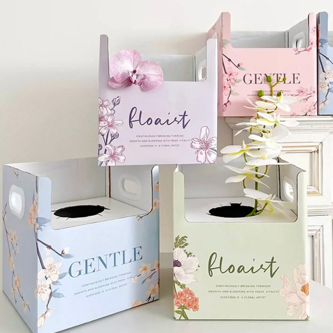 Caja de arreglos florales de Phalaenopsis / 2 piezas / bolsa